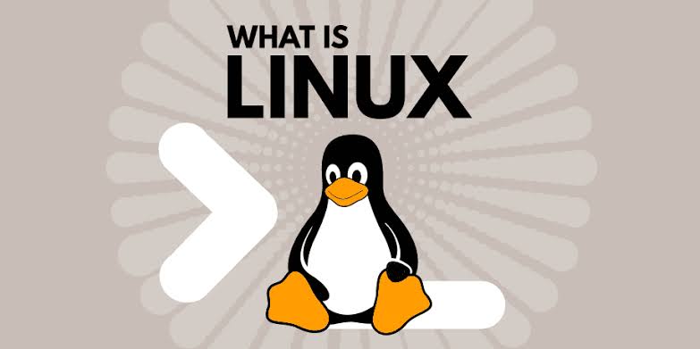 细说 linux 开机及服务启动